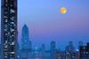 Investor stewardship priorities for India