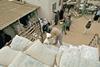 Food distribution in Gaza by the World Food Programme, a UNJSPS participant