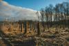 AP2 strengthens human rights, deforestation and climate requirements for external managers