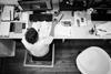 black and white businessman company 140945