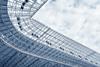 Beyond the Pitch: Private Capital Funds Sports Infrastructure and Operations