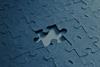 Fitting the Puzzle Pieces Together