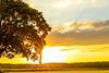 Global Equities - Introducing our Sustainability Assessment Framework