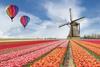 Netherlands country report - March 2022