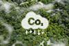 PFZW adopts 50% absolute CO2 reduction target