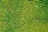 Multi-Asset Investments Views: From extreme caution to upside chasing