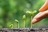 UK small-pot consolidation faces major operational challenge, consultants warn