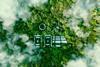 Climate Transition risk in Fixed Income Insurance Investment
