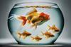 big and small gold fish in bowl