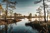 Investors step up nature efforts as global frameworks and metrics evolve