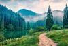 Investing in nature-based solutions