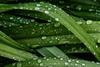 Using ESG Data to Simplify the Complex