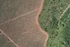 Aerial view of newly planted commercial forests versus permanently protected native vegetation