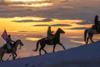 CIO Weekly: The Mag 7 Pulls Apart