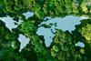 Integrating biodiversity into portfolios- a bespoke framework