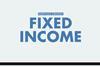 Portfolio strategy - fixed income