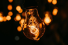 Light bulb