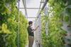 vertical farming