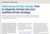 Addressing climate change: how to integrate climate into your cashflow driven strategy