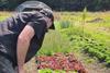 Real estate case study: Lauriston Farm