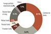 Ownership of Indian government bonds