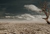 Drought