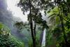nature-forest-waterfall-jungle-2079