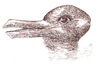 Hybrid Securities - Duck-Rabbit illusion
