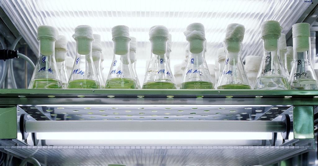 Investors call for corporate and government action on toxic chemicals – Investment & Pensions Europe
