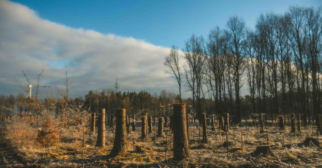 AP2 strengthens human rights, deforestation and climate requirements for external managers
