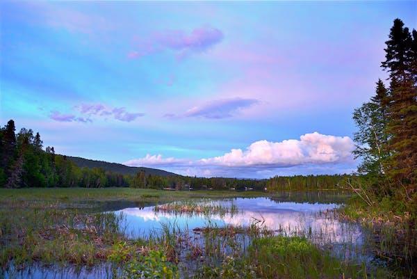 LGPS fund commits £25m to nature-based infrastructure fund