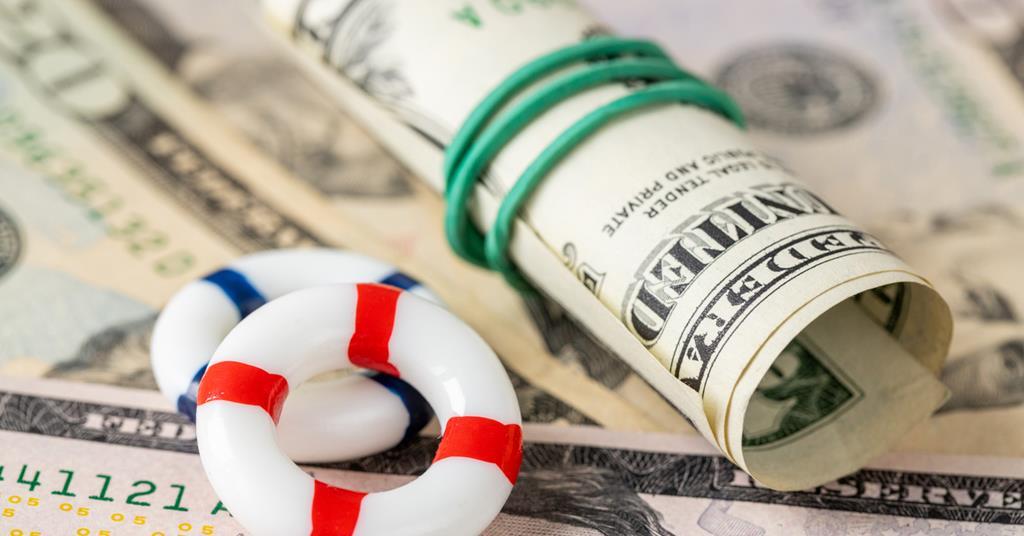 Weak dollar drags PFZW into loss despite strong credit performance