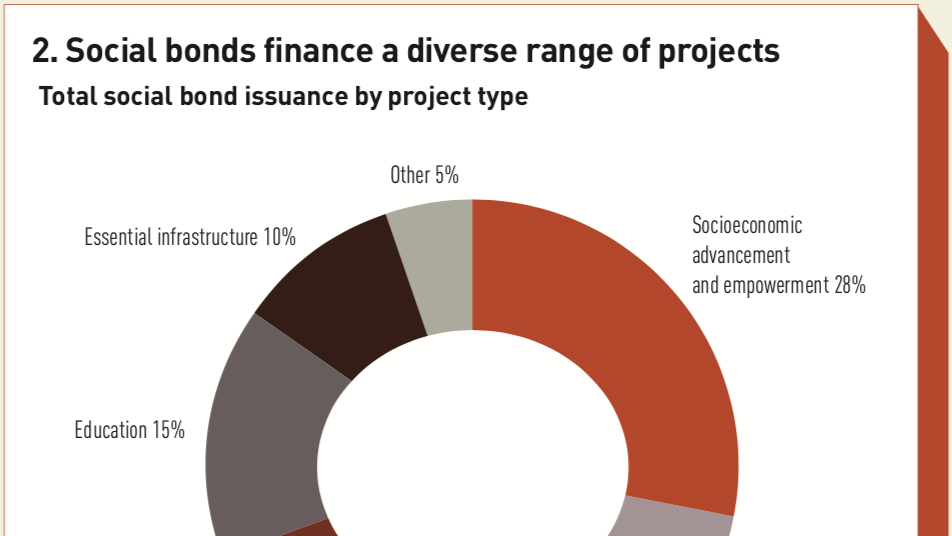 Pandemic booster shot for social bonds Special Report IPE