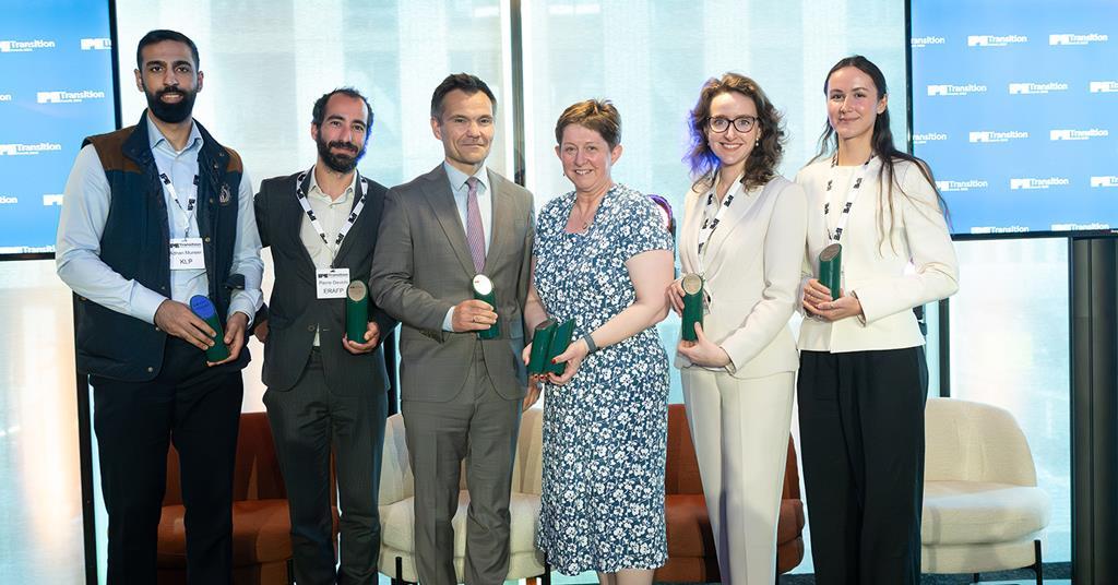 IPE Transition Awards: Faith Ward and Brunel win outstanding contribution