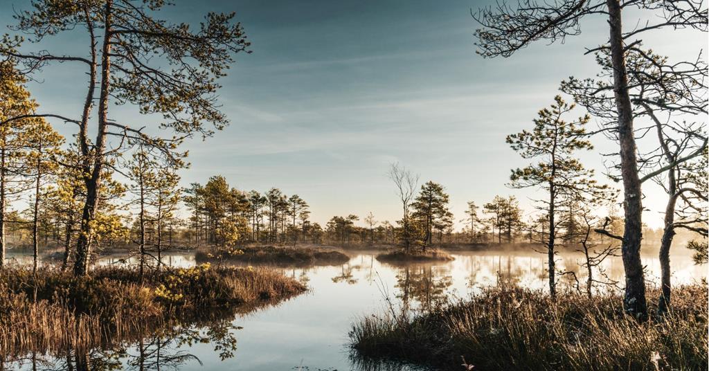 Investors step up nature efforts as global frameworks and metrics evolve