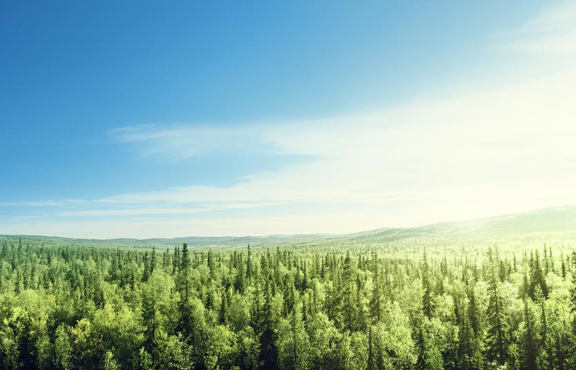 ?PME sets 50% CO₂ reduction goal for 2030