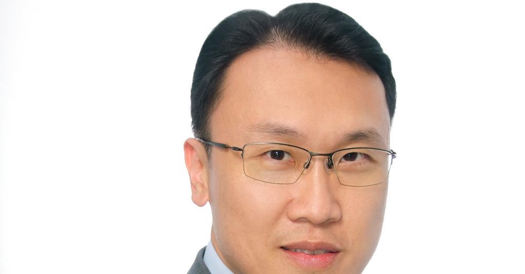 People moves: Icelandic scheme names new supervisory board chair - Vimarsana News
