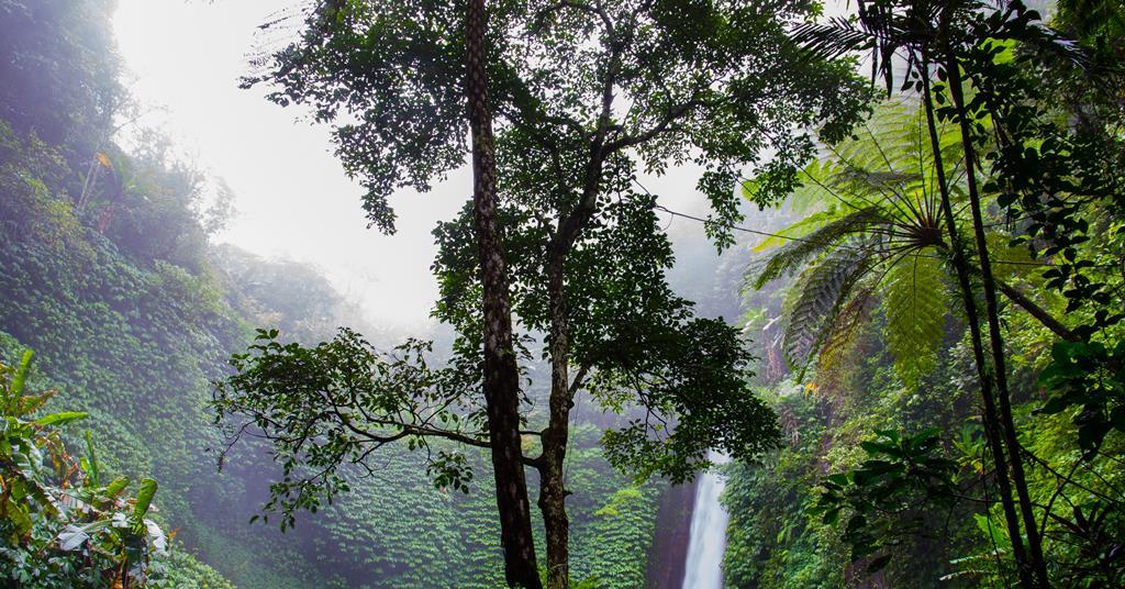 ​Danish pensions lobby calls for biodiversity data definitions - Vimarsana News