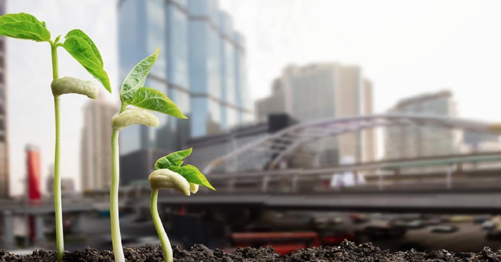 New net-zero transition planning standard to focus on process and governance
