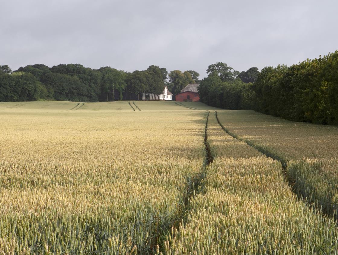 AP Pension unveils Danish agriculture investment fund ...