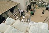 Food distribution in Gaza by the World Food Programme, a UNJSPS participant