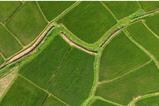 Using the EU taxonomy as a guide to sustainable recovery