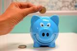 savings pig