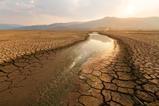 climate change global warming