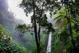 nature-forest-waterfall-jungle-2079