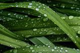 Using ESG Data to Simplify the Complex