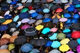 umbrellas diversity