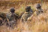 soldiers in field