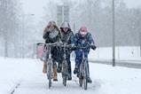 Cyclists in snow netherlands