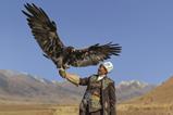 Kazakhstan eagle - Photo- Turfantastik, Dreamstime